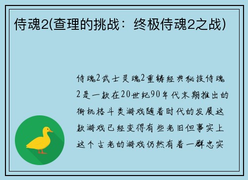 侍魂2(查理的挑战：终极侍魂2之战)